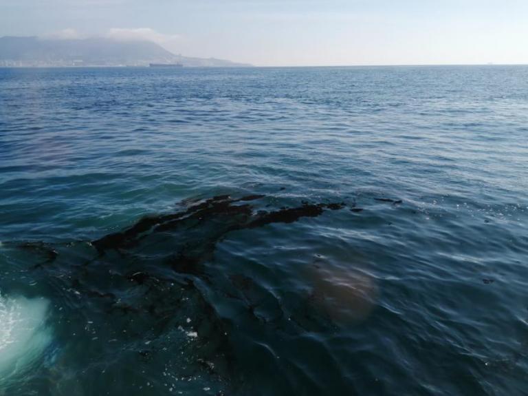 Imagen noticia: Imagen de la cola de un cetaceo en el mar - Ministerio de Transportes, Movilidad y Agenda Urbana.