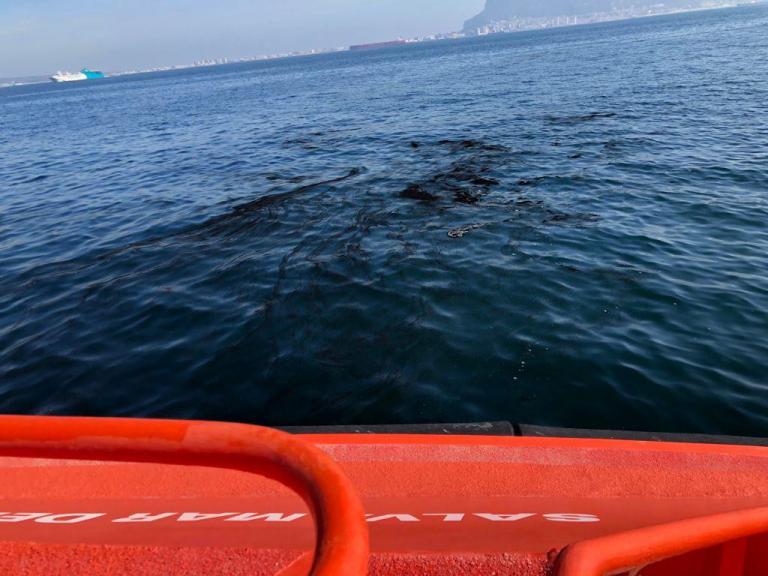 Imagen noticia: imagen de cetaceo en el mar - Ministerio de Transportes, Movilidad y Agenda Urbana.